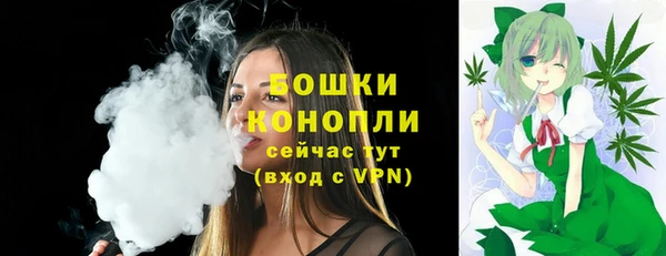 spice Богородск