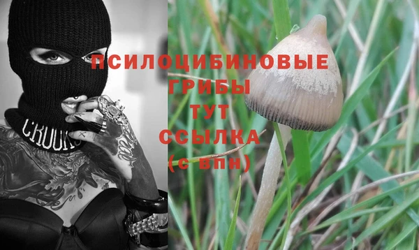 каннабис Богородицк