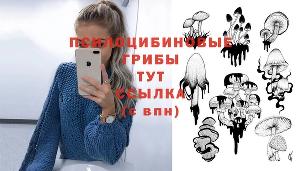 прущие грибы Белоозёрский