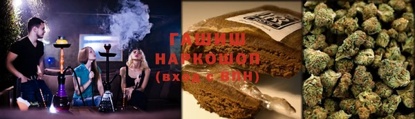 spice Богородск